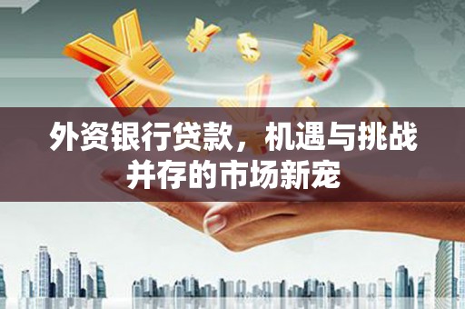 苏家屯外资银行贷款，机遇与挑战并存的市场新宠