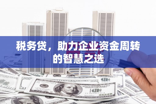 柳营税务贷，助力企业资金周转的智慧之选