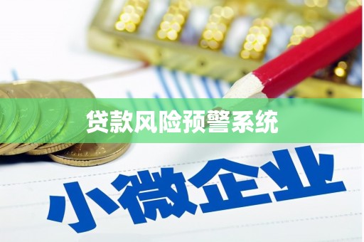 洋县贷款风险预警系统