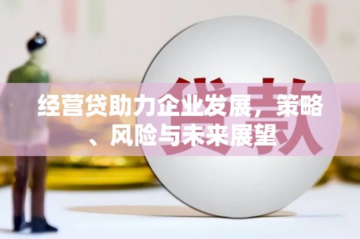 镇原经营贷助力企业发展，策略、风险与未来展望