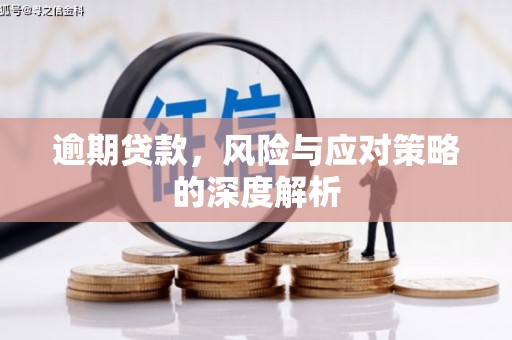 龙湾逾期贷款，风险与应对策略的深度解析