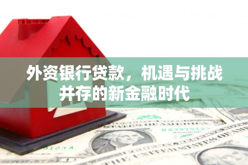 榆树外资银行贷款，机遇与挑战并存的新金融时代