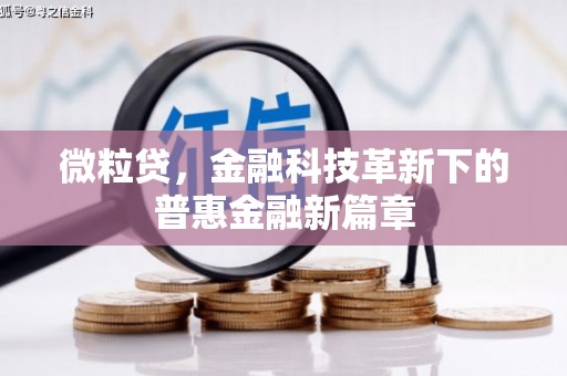 东方微粒贷，金融科技革新下的普惠金融新篇章