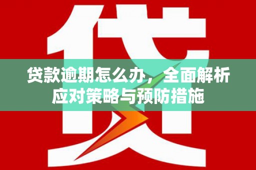 士林贷款逾期怎么办，全面解析应对策略与预防措施