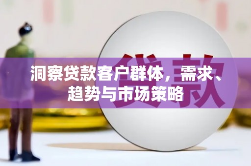 通海洞察贷款客户群体，需求、趋势与市场策略