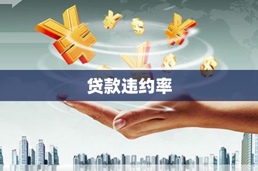 剑阁贷款违约率