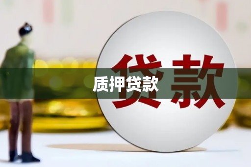 宁阳质押贷款