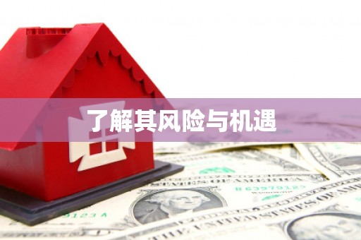 企石了解其风险与机遇