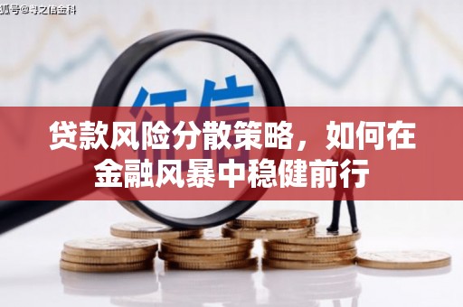 腾冲贷款风险分散策略，如何在金融风暴中稳健前行