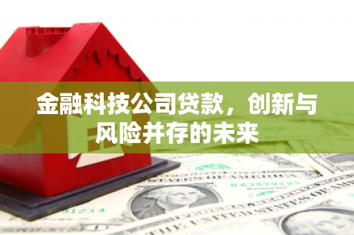 石嘴山金融科技公司贷款，创新与风险并存的未来
