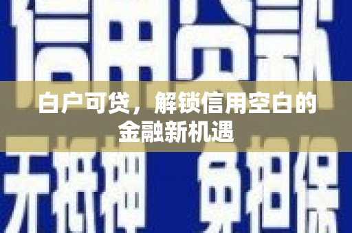 迭部白户可贷，解锁信用空白的金融新机遇