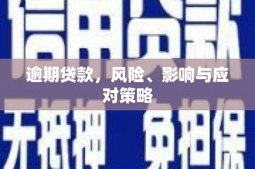 玉树逾期贷款，风险、影响与应对策略