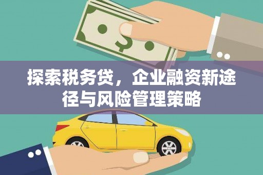 观塘探索税务贷，企业融资新途径与风险管理策略
