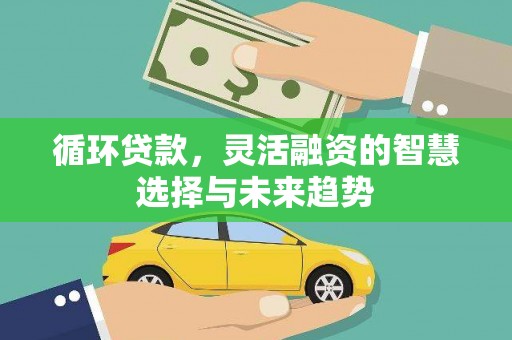 镜湖循环贷款，灵活融资的智慧选择与未来趋势