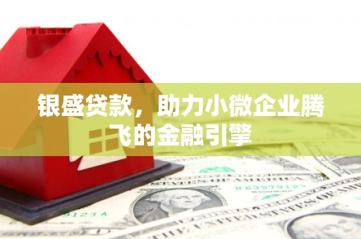 玉树银盛贷款，助力小微企业腾飞的金融引擎