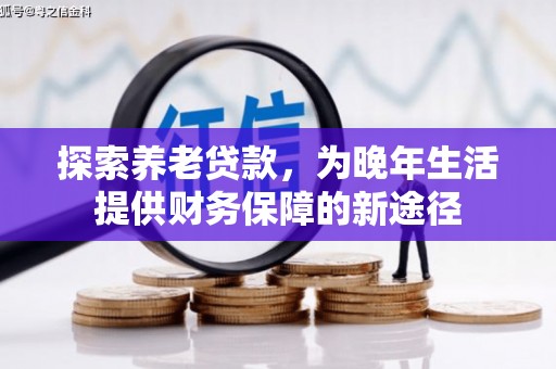 新和探索养老贷款，为晚年生活提供财务保障的新途径