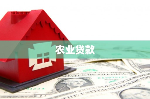 奎文农业贷款