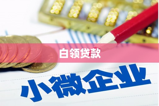 孝南白领贷款
