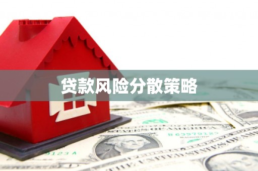 天宁贷款风险分散策略