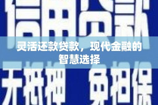 武隆灵活还款贷款，现代金融的智慧选择