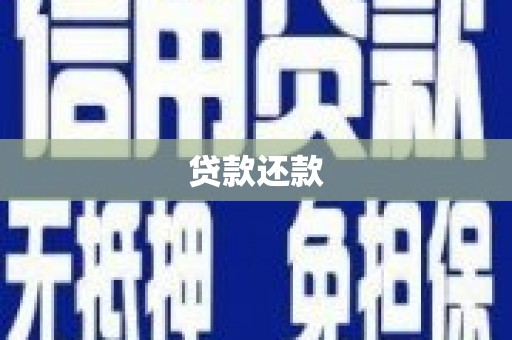 小金贷款还款