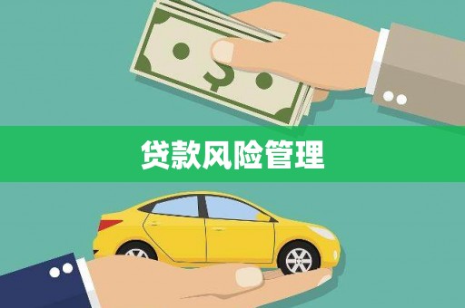 阿城贷款风险管理