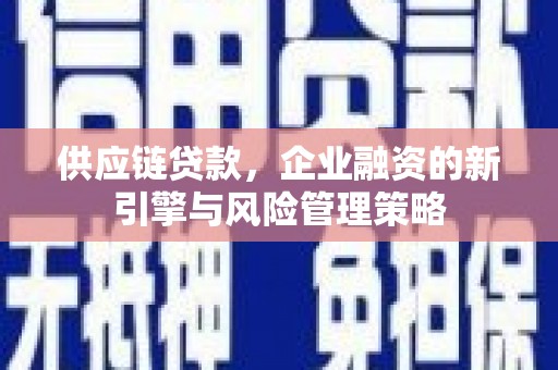横栏供应链贷款，企业融资的新引擎与风险管理策略