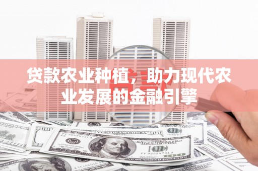 疏附贷款农业种植，助力现代农业发展的金融引擎