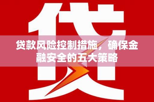龙文贷款风险控制措施，确保金融安全的五大策略
