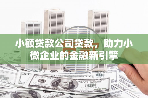 海原小额贷款公司贷款，助力小微企业的金融新引擎