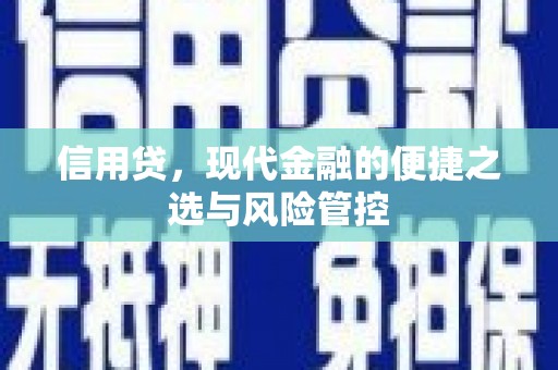 遂昌信用贷，现代金融的便捷之选与风险管控