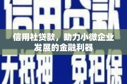 佛坪信用社贷款，助力小微企业发展的金融利器