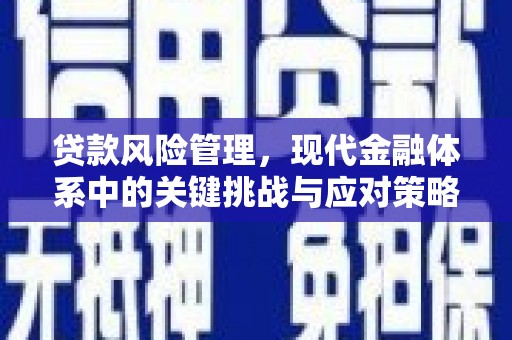 路环岛贷款风险管理，现代金融体系中的关键挑战与应对策略