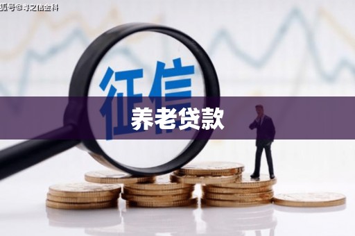 德保养老贷款