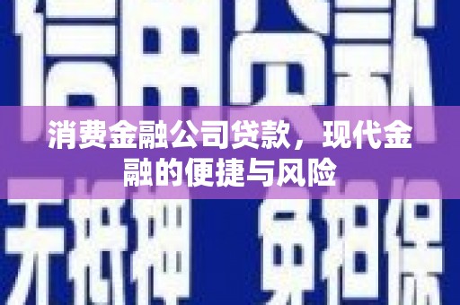 荃湾消费金融公司贷款，现代金融的便捷与风险
