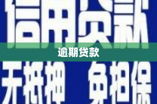太和逾期贷款