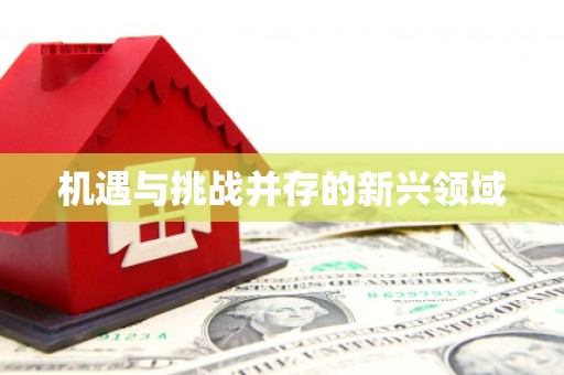 宁明机遇与挑战并存的新兴领域