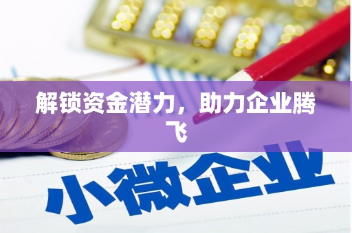 苍溪解锁资金潜力，助力企业腾飞