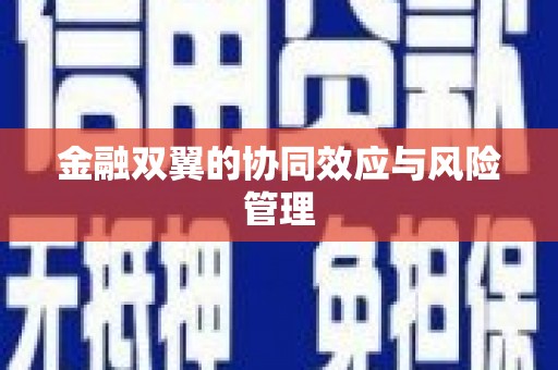 汇川金融双翼的协同效应与风险管理