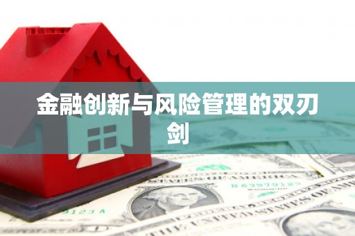 浔阳金融创新与风险管理的双刃剑