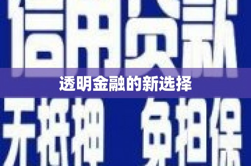 定远透明金融的新选择