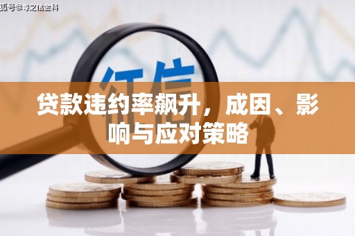 美溪贷款违约率飙升，成因、影响与应对策略